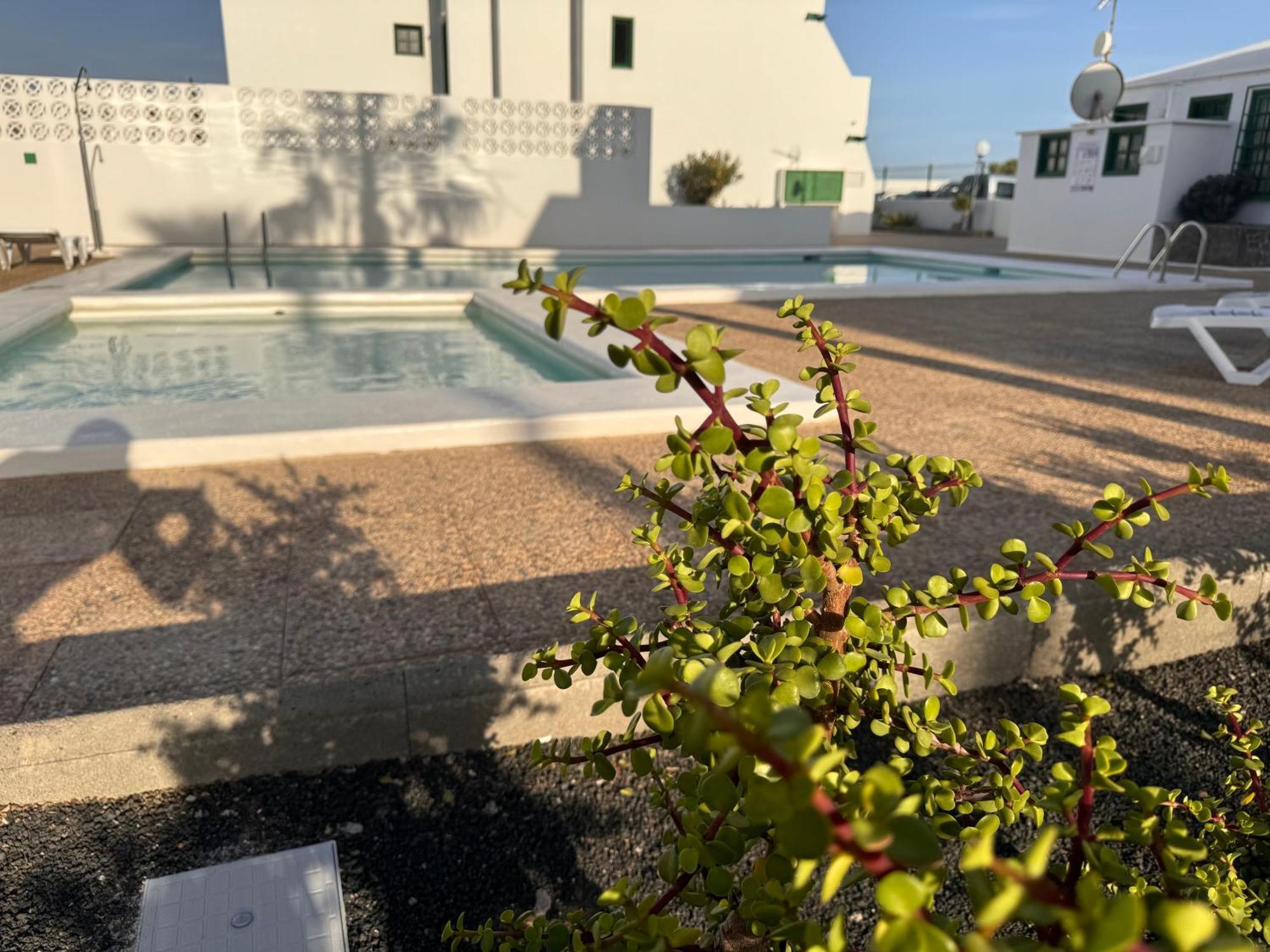 Las Mimosas Puerto del Carmen  Ngoại thất bức ảnh