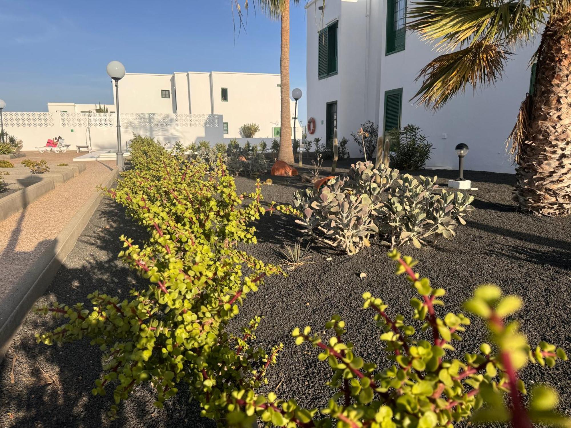 Las Mimosas Puerto del Carmen  Ngoại thất bức ảnh