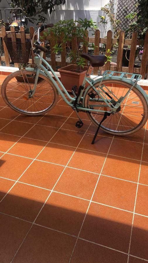 Las Mimosas Puerto del Carmen  Ngoại thất bức ảnh